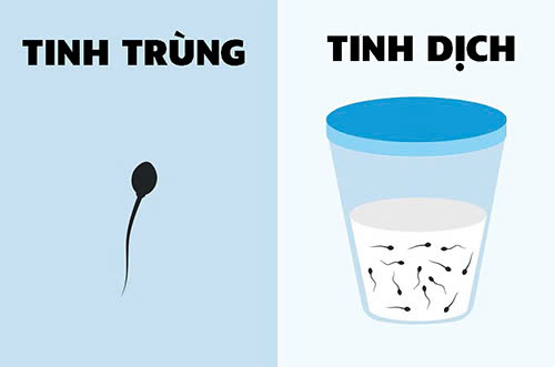 Tinh trùng rửa bằng nước có sạch không khi dính ra giường?